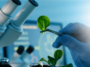 Biotechnology