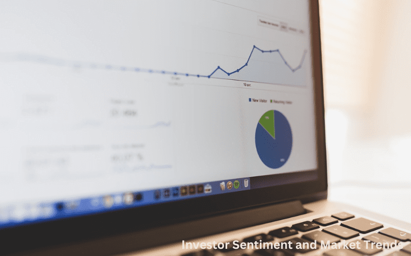 Investor Sentiment and Market Trends