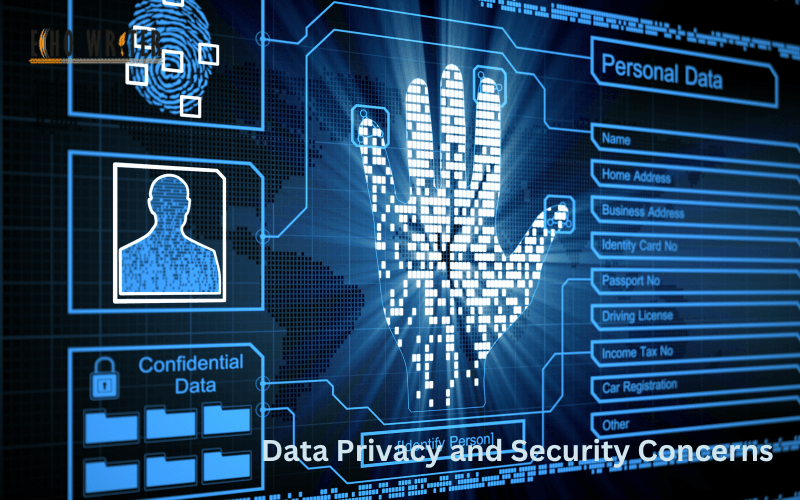 Data Privacy and Security Concerns