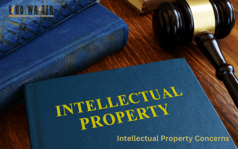 Intellectual Property Concerns