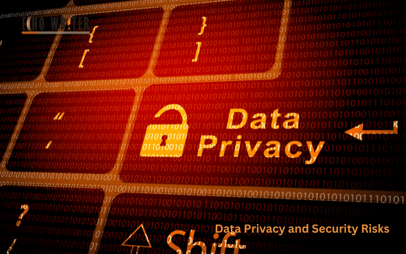Data Privacy and Security Risks