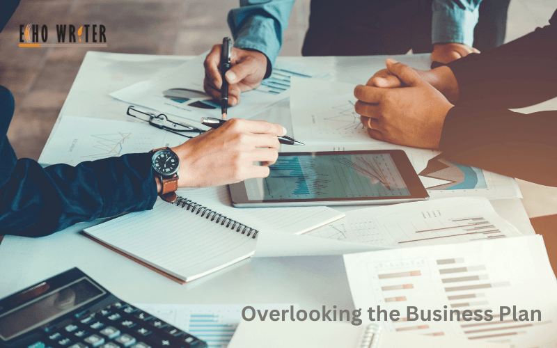 Overlooking the Business Plan